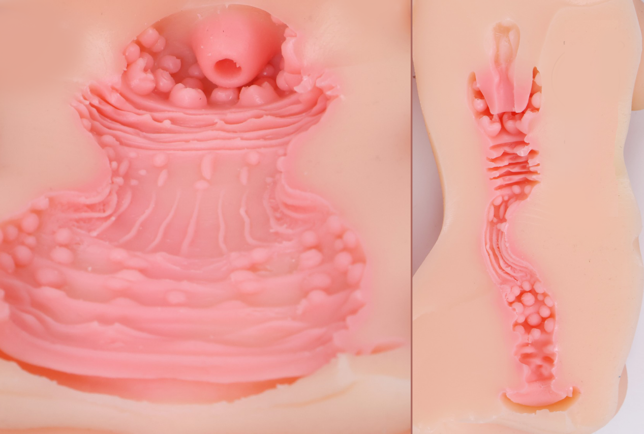 image10.png