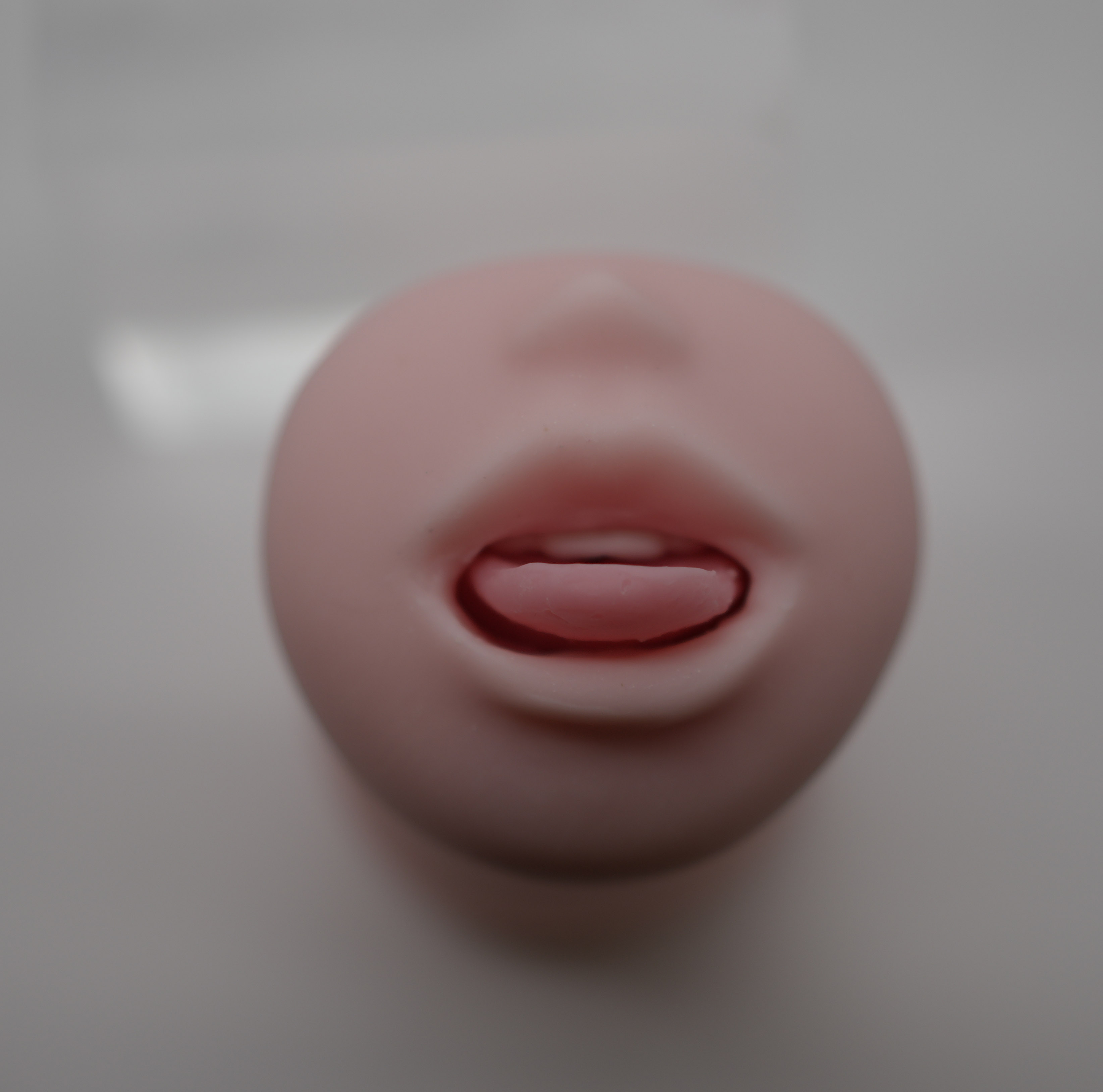 DSC05759.jpg