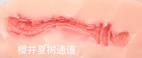 图片 9